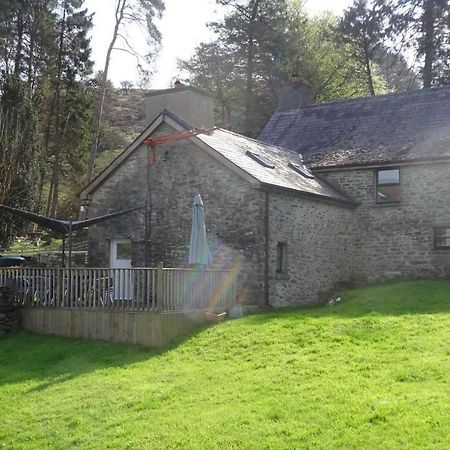 Blaentwrch Farmhouse Villa Llanddewi-Brefi Exterior photo